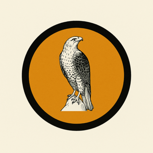 Grado de Halcón - 7 años