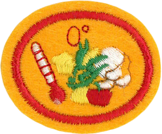 Congelación de alimentos