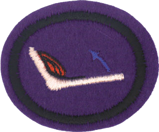 Huesos, músculos y movimiento