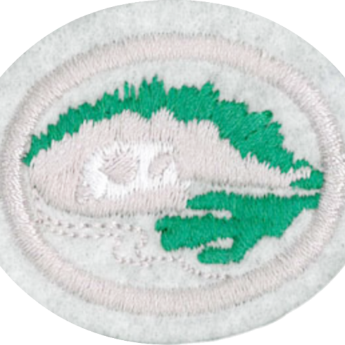 Líquenes, hepáticas y musgos