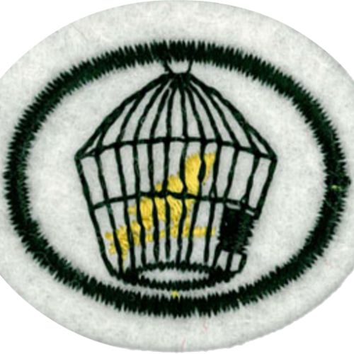 Pájaros y aves domésticas